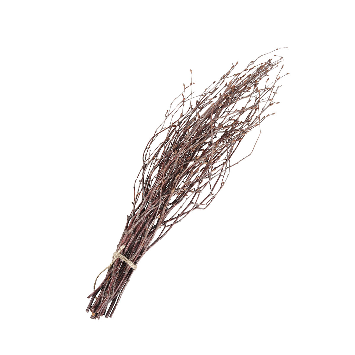 10Pcs 40Cm Birch Branches Real - огляд і ціна Centerpiece Stick