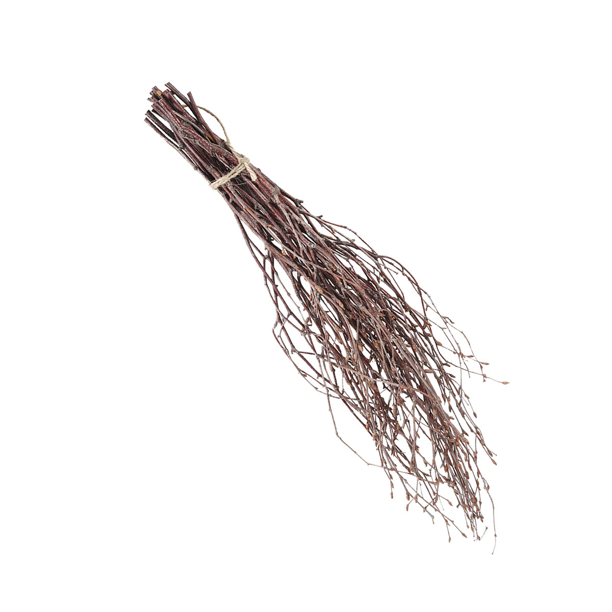 10Pcs 40Cm Birch Branches Real - огляд і ціна Centerpiece Stick